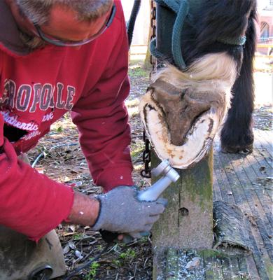 Show full view: Hoof Boss Complete Battery Operated Horse Hoof Trimmer Set slide 6 of 7