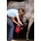 Show in main carousel: Hoof Wraps Horse Soaker Kit slide 3 of 6
