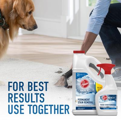 Show full view: Hoover Oxy Stain Dog & Cat Stain Remover, 22-fl oz bottle slide 4 of 5