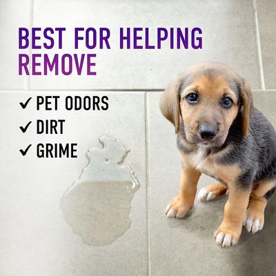 Show full view: Hoover Paws & Claws Hard Floor Pet Cleaning Formula, 32-fl oz bottle slide 5 of 8