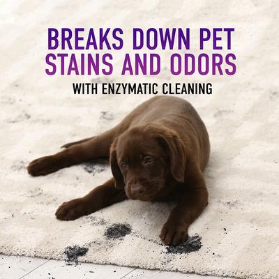 Show full view: Hoover Paws & Claws Hard Floor Pet Cleaning Formula, 32-fl oz bottle slide 6 of 8