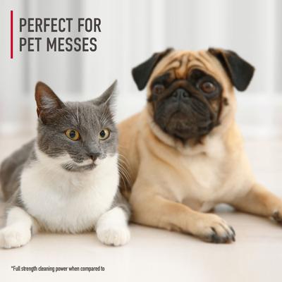 Show full view: Hoover Paws & Claws Spot & Stain Remover Pre-Mixed Carpet Cleaning Formula, 32-fl oz bottle slide 4 of 8