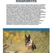 Show in main carousel: Horizon Pulsar Grain-Free Salmon Recipe Dry Dog Food, 25-lb bag slide 4 of 8