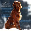 Show in main carousel: Horizon Pulsar Grain-Free Salmon Recipe Dry Dog Food, 25-lb bag slide 6 of 8