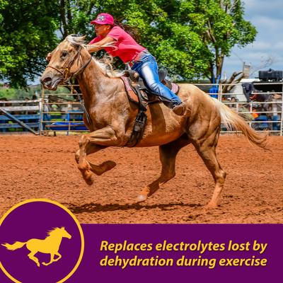 Show full view: Horse Health Products Apple-Dex Electrolyte Apple Flavor Powder Horse Supplement, 30-lb bucket slide 2 of 9