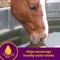 Show in main carousel: Horse Health Products Apple-Dex Electrolyte Apple Flavor Powder Horse Supplement, 30-lb bucket slide 4 of 9