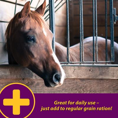 Show full view: Horse Health Products Apple-Dex Electrolyte Apple Flavor Powder Horse Supplement, 30-lb bucket slide 6 of 9