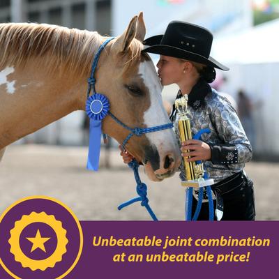 Show full view: Horse Health Products Joint Combo Classic Pellets Horse Supplement, 3.75-lb bucket slide 3 of 8