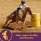 Show in main carousel: Horse Health Products Joint Combo Classic Pellets Horse Supplement, 3.75-lb bucket slide 4 of 8