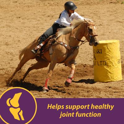 Show full view: Horse Health Products Joint Combo Classic Pellets Horse Supplement, 3.75-lb bucket slide 4 of 8