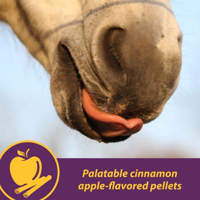 Show full view: Horse Health Products Joint Combo Classic Pellets Horse Supplement, 3.75-lb bucket slide 6 of 8