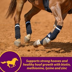 Horse Health Products Joint Combo Hoof & Coat 3-in-1 Apple Flavor Pellets Horse Supplement, 8-lb bucket