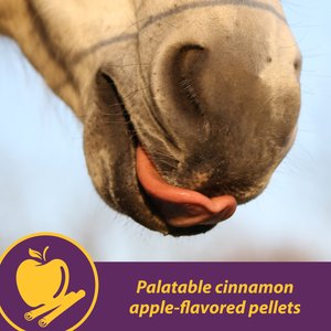Horse Health Products Joint Combo Hoof & Coat 3-in-1 Apple Flavor Pellets Horse Supplement, 8-lb bucket