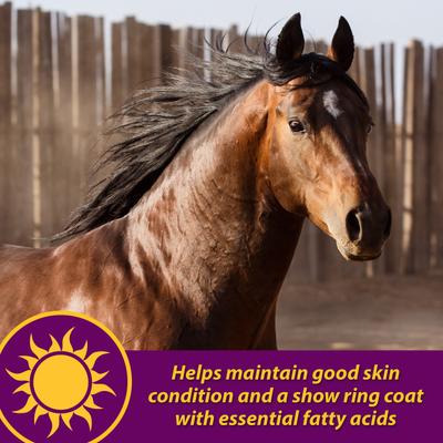 Show full view: Horse Health Products Joint Combo Hoof & Coat 3-in-1 Apple Flavor Pellets Horse Supplement, 8-lb bucket slide 6 of 11