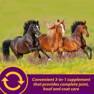 Show full view: Horse Health Products Joint Combo Hoof & Coat 3-in-1 Apple Flavor Pellets Horse Supplement, 8-lb bucket slide 8 of 11