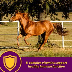 Horse Health Products Red Cell Iron Rich Vitamins & Minerals Liquid Horse Supplement, 1-gal bottle slide 2 of 8