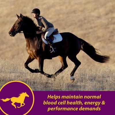 Show full view: Horse Health Products Red Cell Iron Rich Vitamins & Minerals Liquid Horse Supplement, 1-gal bottle slide 5 of 11