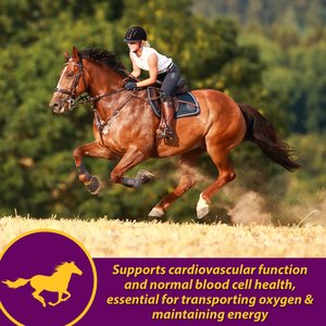 Horse Health Products Red Cell Pellets Horse Supplement, 64-day supply