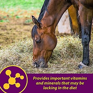 Horse Health Products Red Cell Pellets Horse Supplement, 64-day supply