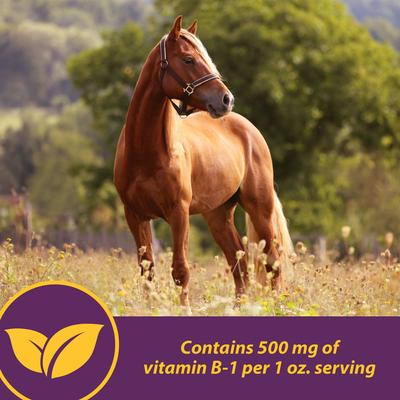 Show full view: Horse Health Products Vita B-1 Crumbles for Optimal Muscle & Metabolism Support Horse Supplement, 20-lb bucket slide 4 of 9