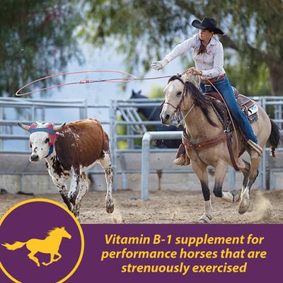 Show full view: Horse Health Products Vita B-1 Crumbles for Optimal Muscle & Metabolism Support Horse Supplement, 3-lb bucket slide 2 of 10