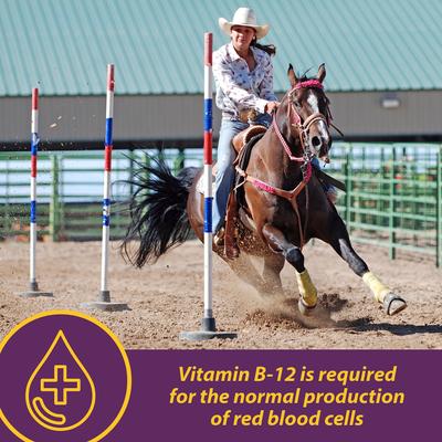 Show full view: Horse Health Products Vita B-12 Crumbles Horse Vitamin Supplement, 3-lb bucket slide 3 of 9