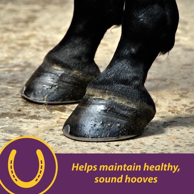 Show full view: Horse Health Products Vita Biotin Crumbles, Supports Proper Hoof Health in Horses 20 pounds, 320 Day Supply slide 2 of 9