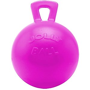 Horsemen's Pride Jolly Ball Horse Toy, Bubblegum, 10-in