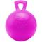Show in main carousel: Horsemen's Pride Jolly Ball Horse Toy, Bubblegum, 10-in slide 1 of 4