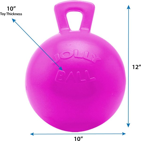 Show full view: Horsemen's Pride Jolly Ball Horse Toy, Bubblegum, 10-in slide 2 of 4