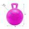 Show in main carousel: Horsemen's Pride Jolly Ball Horse Toy, Bubblegum, 10-in slide 2 of 4