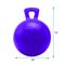 Show in main carousel: Horsemen's Pride Jolly Ball Horse Toy, Purple, 10-in slide 2 of 4
