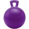 Show in main carousel: Horsemen's Pride Jolly Ball Tug-n-Toss Boxed Horse Toy, 8-in, Purple slide 1 of 2