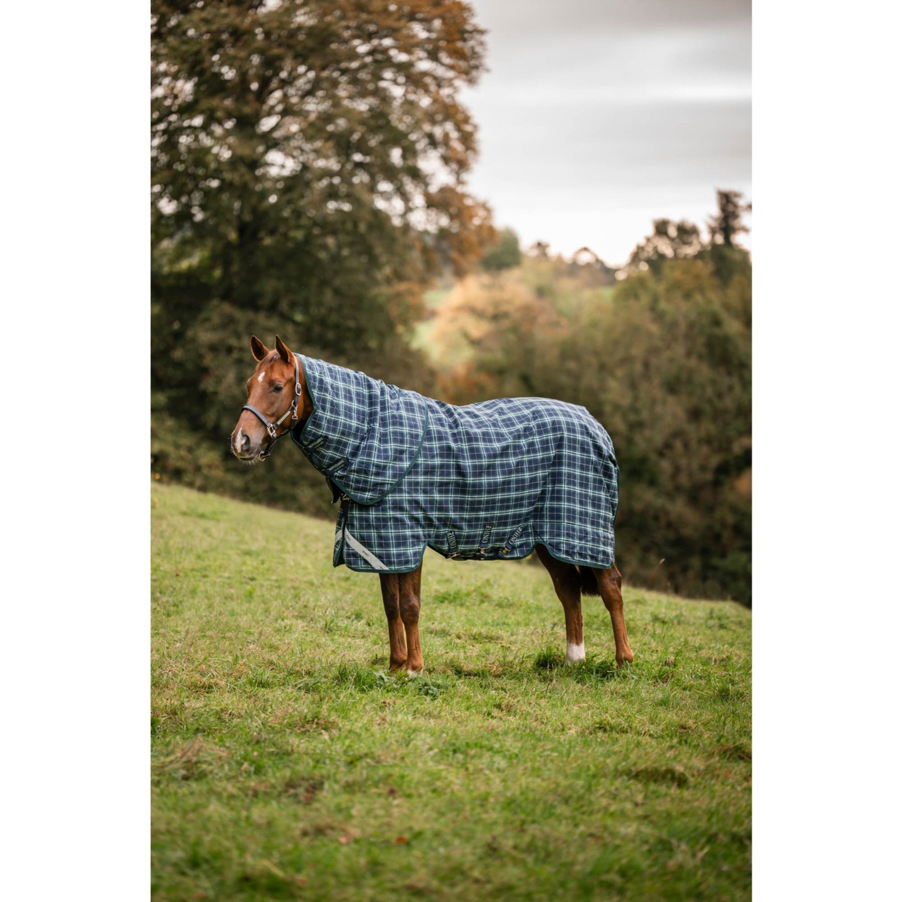Horseware 100g Rhino Plus Horse Turnout, Hunter Check/Green/Navy, 72