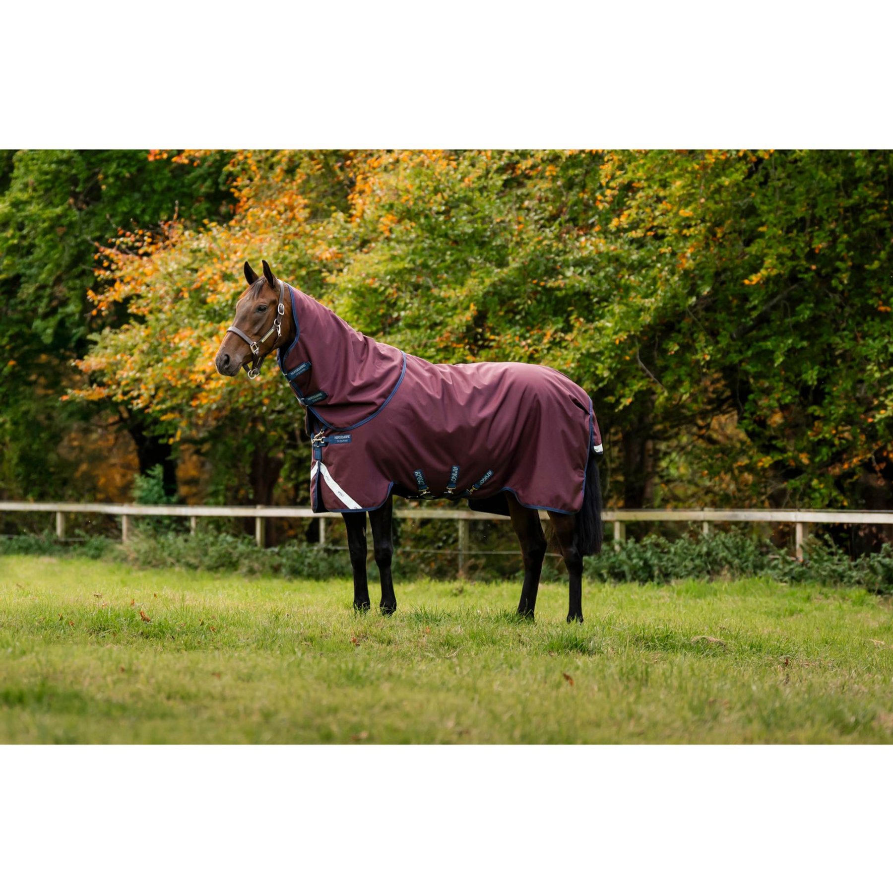 Horseware Amigo 1200D 0g Horse Plus Turnout, Burgundy/Navy/Titanium Grey, 69