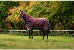 Horseware Amigo 1200D 0g Horse Plus Turnout, Burgundy/Navy/Titanium Grey, 78