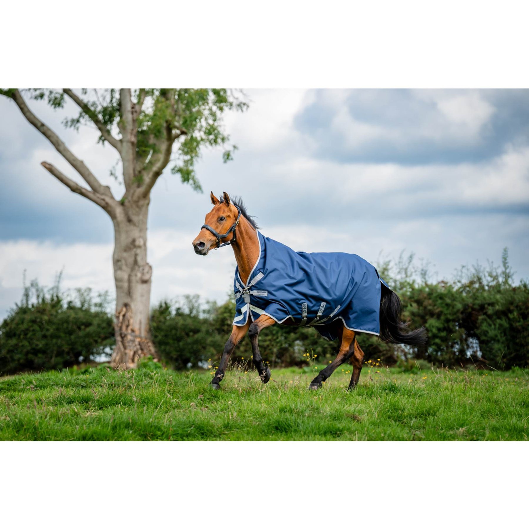 Horseware Amigo 1200D 0g Horse Wug Turnout, Navy/Titanium Grey/Silver, 72