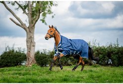 Horseware Amigo 1200D 0g Horse Wug Turnout, Navy/Titanium Grey/Silver, 81