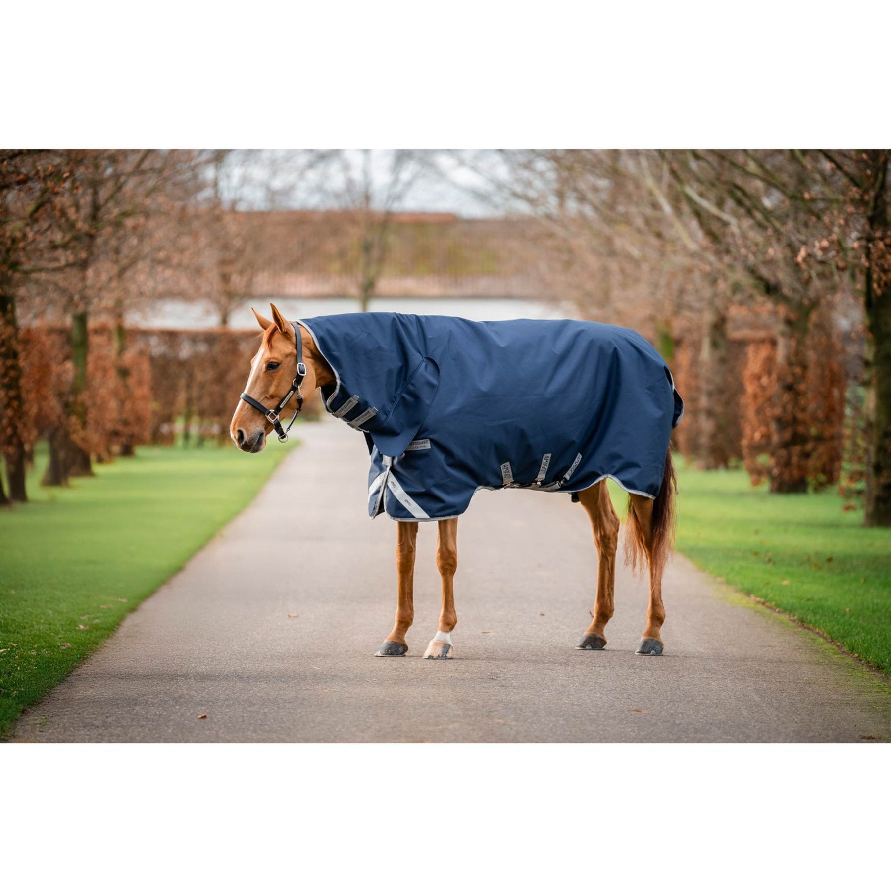 Horseware Amigo 1200D 250g Integrated Horse Turnout, Navy/Titanium Grey/Silver, 75