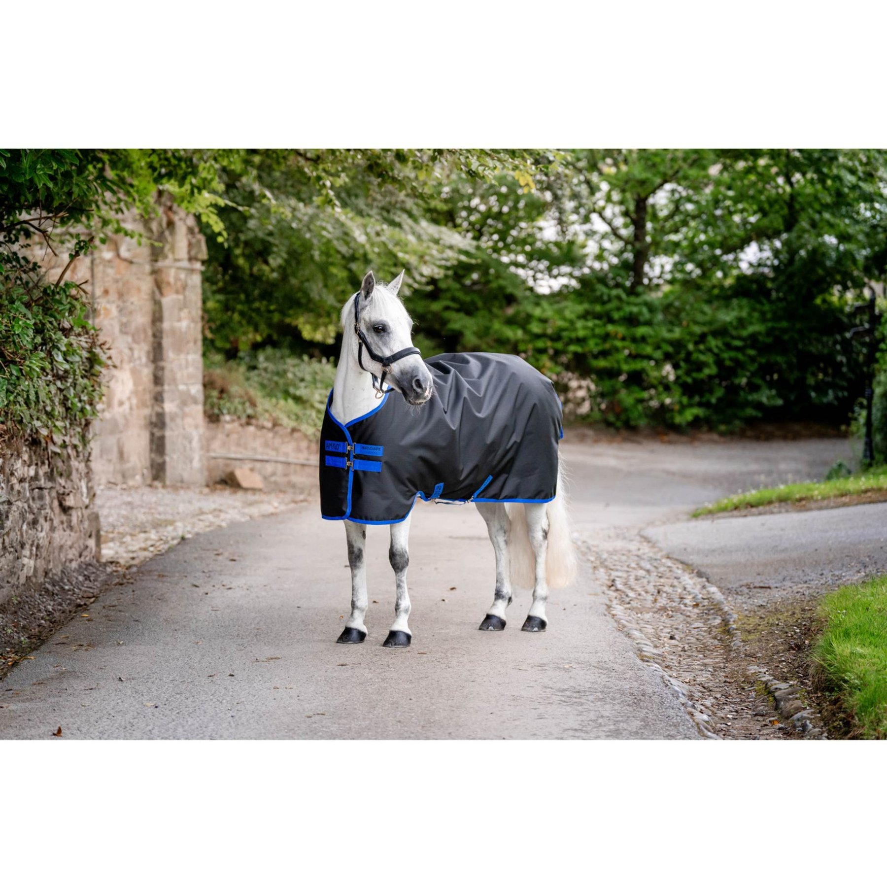 Horseware Amigo Ripstop 900D 200g Horse Turnout, Black/Classic Blue, 72