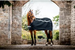 Horseware Dry Horse Liner, Navy/Silver, 81