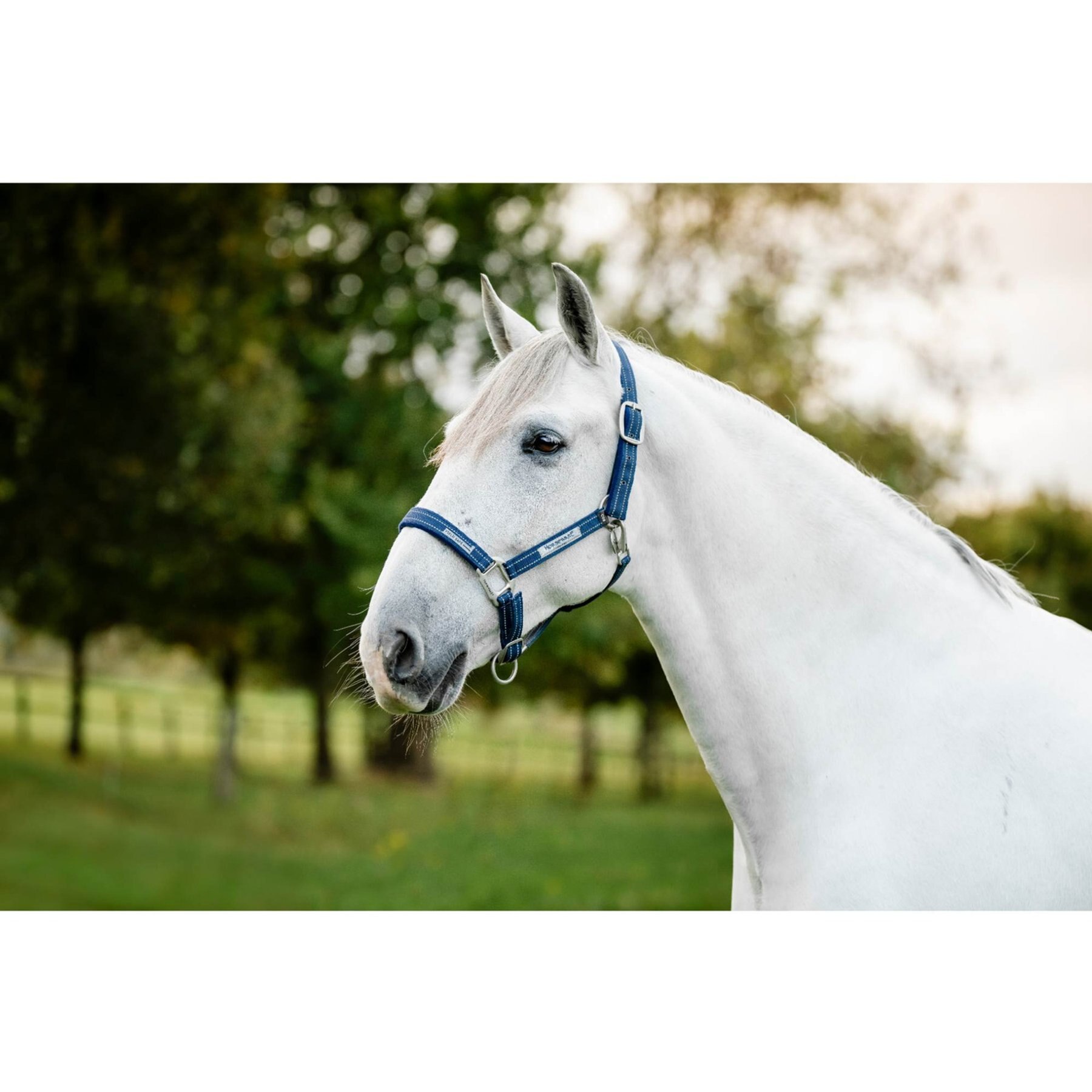 Horseware FieldSafe Horse Headcollar, Navy, Pony