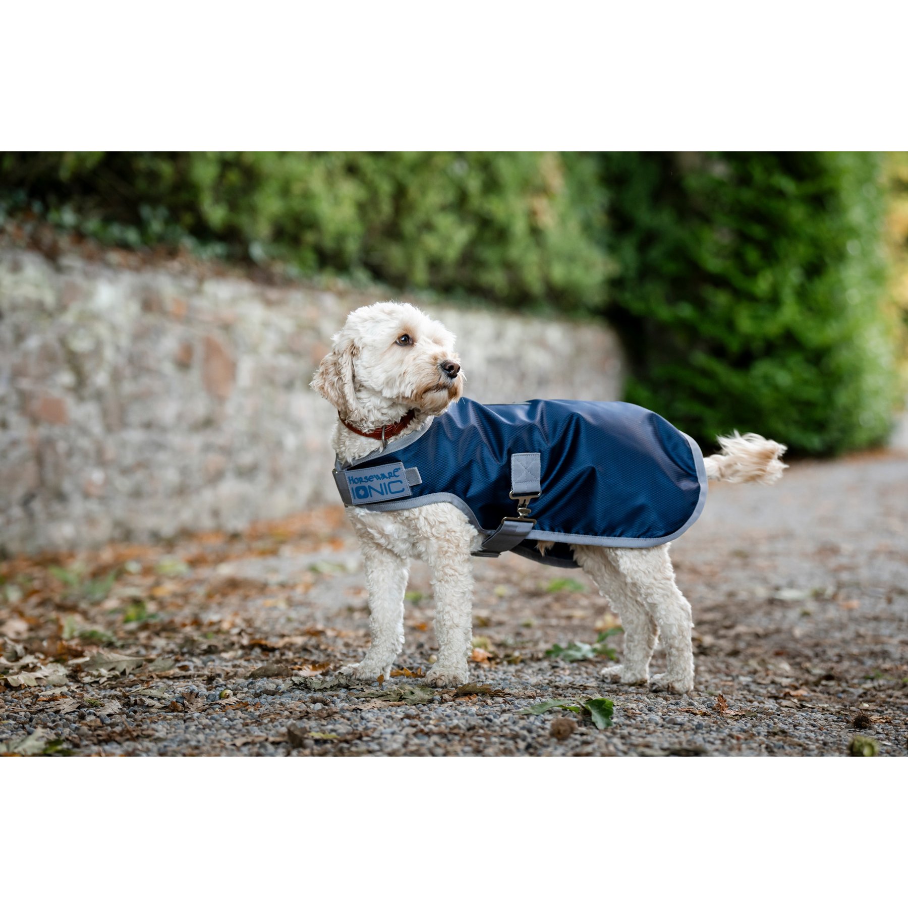 Horseware Ionic Therapy Dog Suit, X-Large