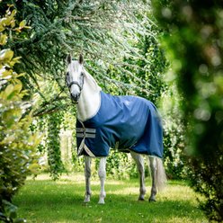 Horseware Ireland Amigo Bravo 12 100g Turnout Blanket, 81-in