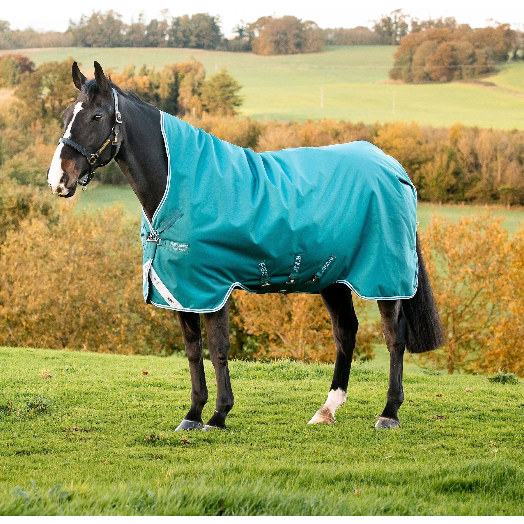 Horseware Ireland Amigo Bravo Wug Horse Turnout Sheet, 78-in