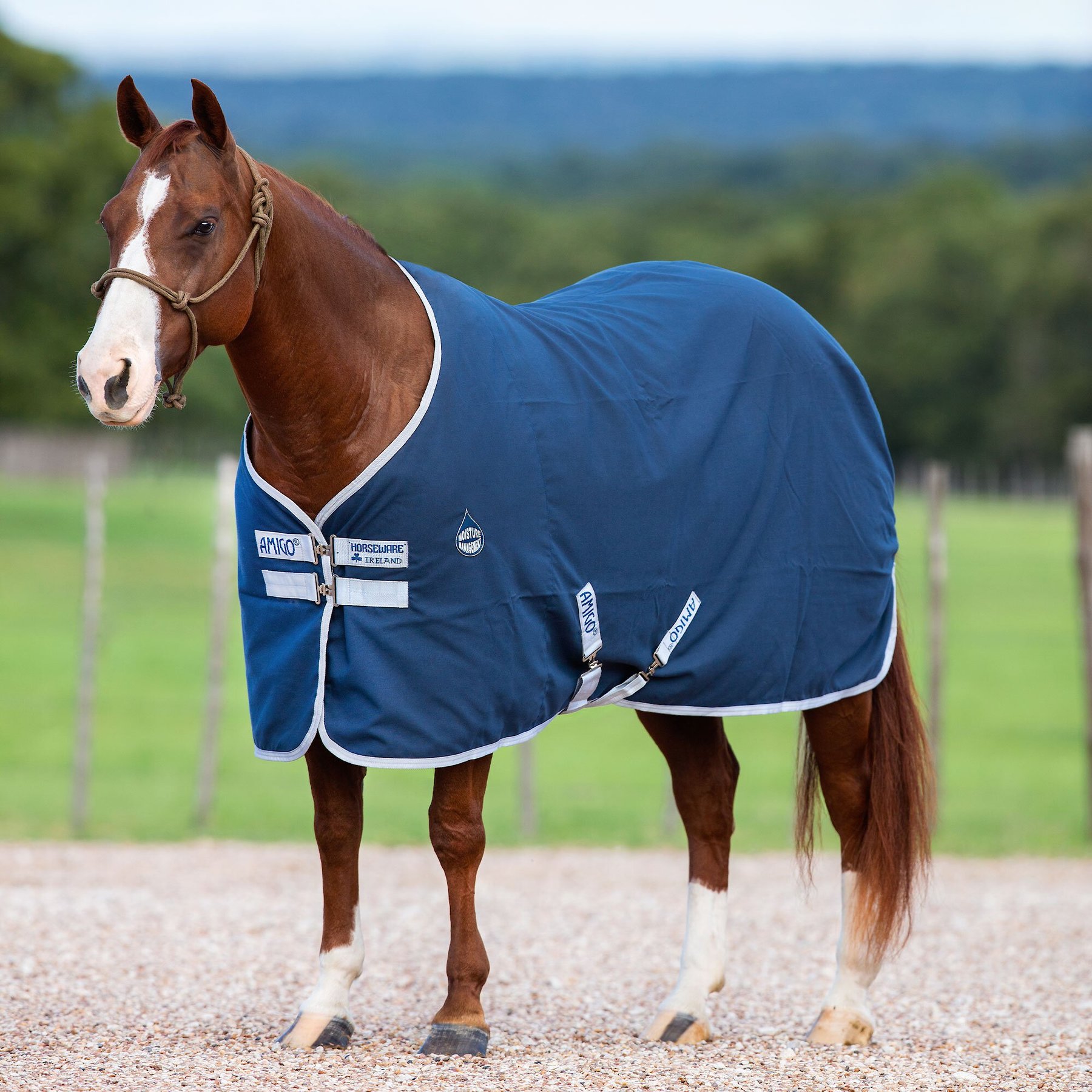 Horseware Ireland Amigo Horse Stable Sheet, Navy/Silver, 72-in