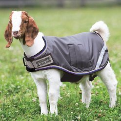 Horseware Ireland Goat Rug, Gray, Small