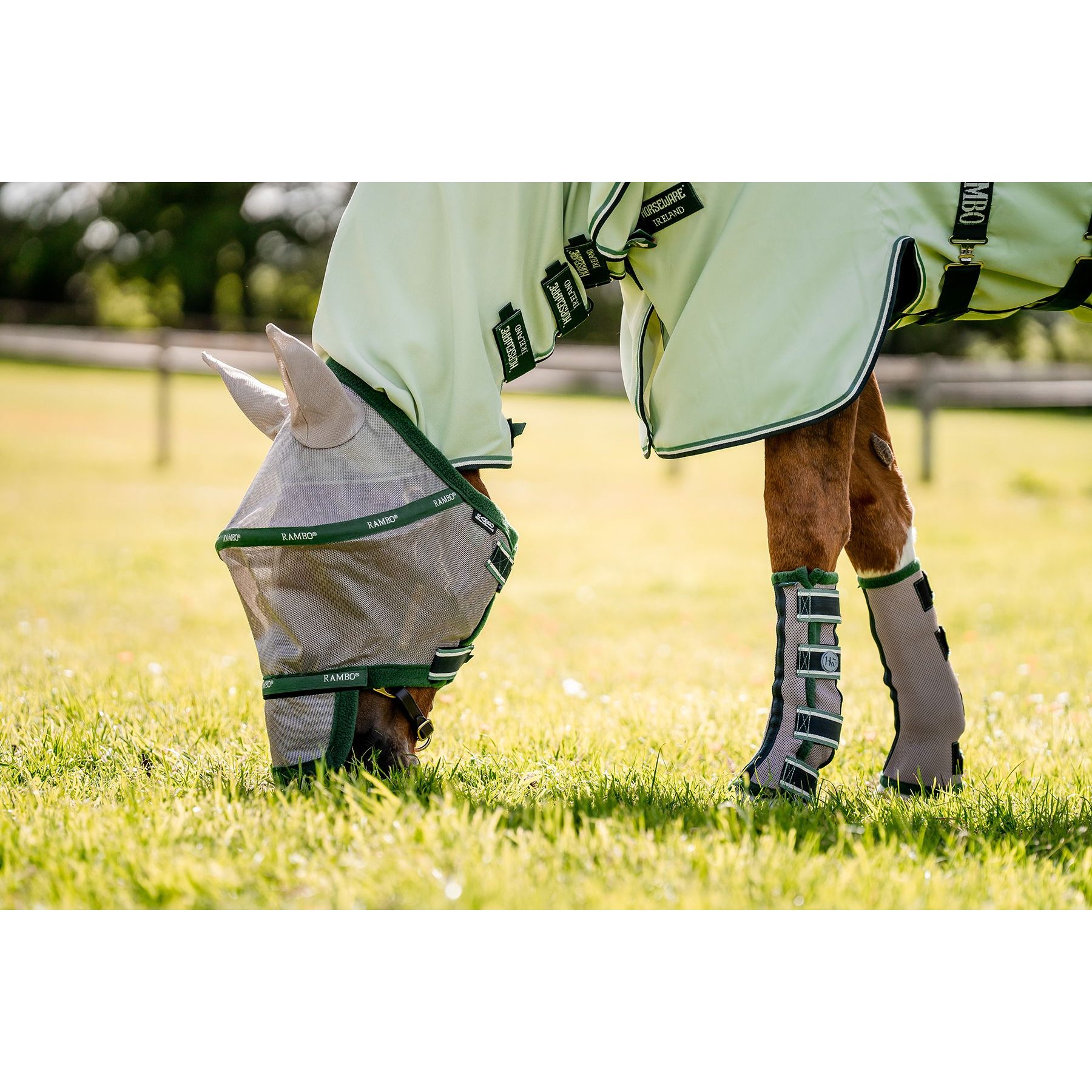Horseware Horse Fly Boots, Green, Cob