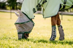 Horseware Ireland Horse Fly Boots, Green, Horse