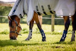 Horseware Ireland Horse Fly Boots, Navy, Cob